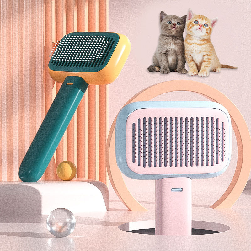 Hair Brush