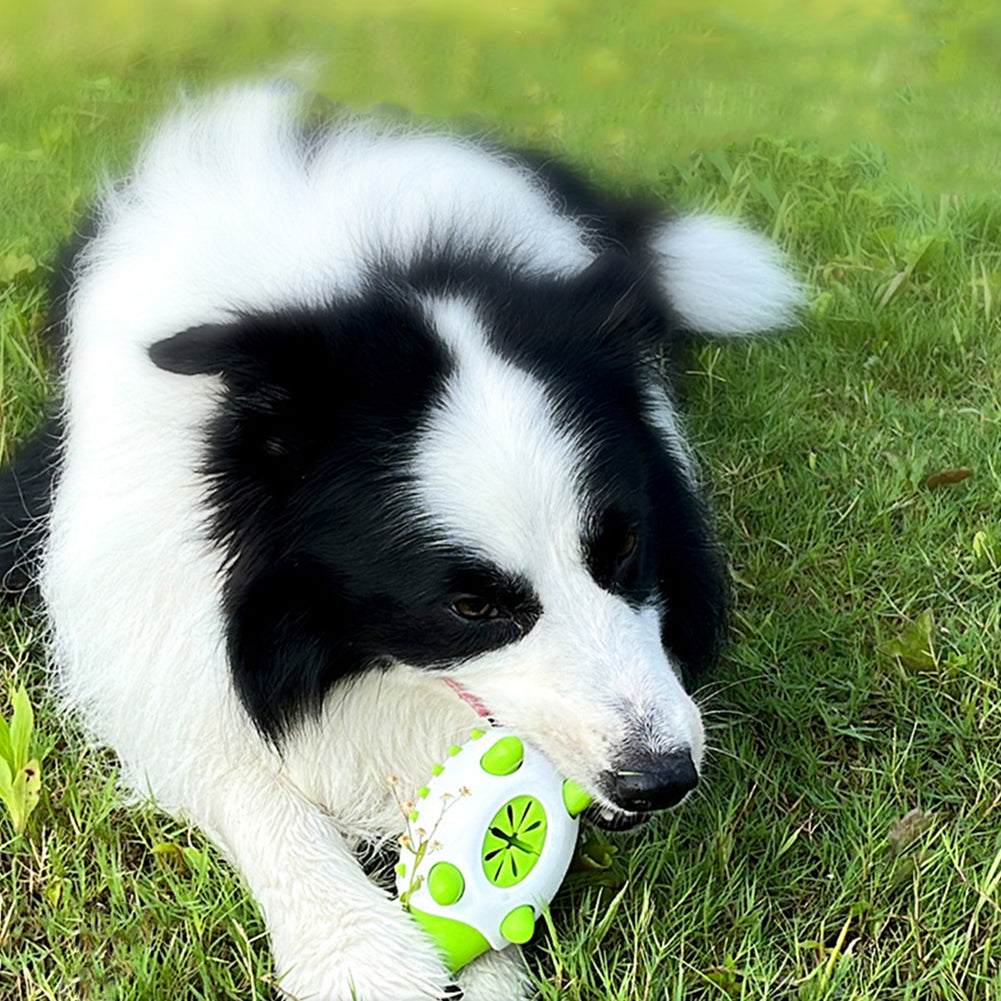Leaking Food Toy - Chewing Toy - Tooth Cleaning Toy