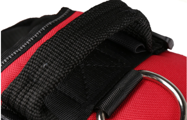 Personalized Dog Harness