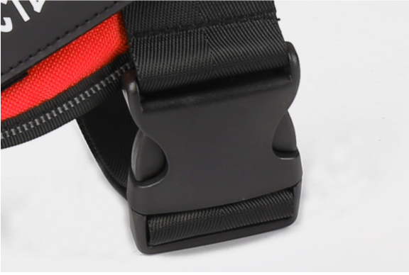 Personalized Dog Harness