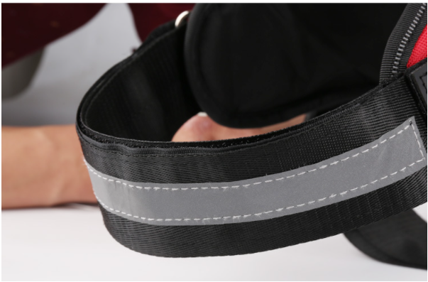 Personalized Dog Harness